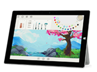 双柏Surface 无法开启、Windows 无法启动或电池无法充电