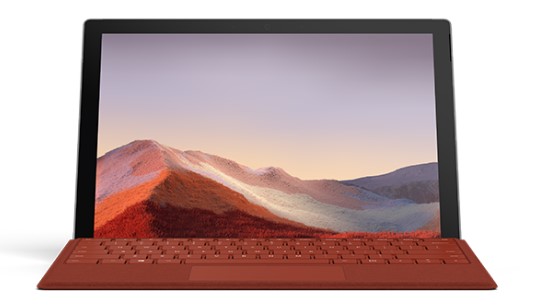 双柏清洁和维护 Surface